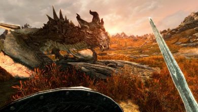 Skyrim VR on PC